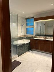 Leedon Heights (D10), Detached #469338551